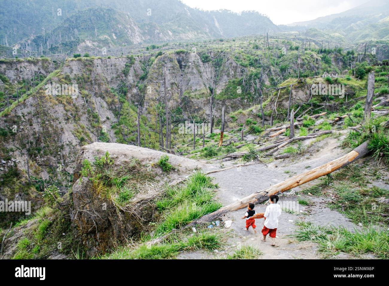 Due fratelli esplorano un sito di disastro vulcanico un anno dopo una significativa eruzione, circondati da un paesaggio aspro e dai resti di alberi caduti Foto Stock