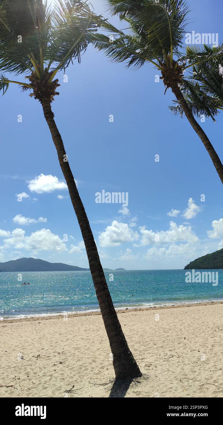 Oasi di Hamilton Island: L'acqua turchese lambisce in una spiaggia incontaminata di sabbia bianca, palme ondeggianti sussurrano promesse di relax. Questa scena idilliaca embo Foto Stock