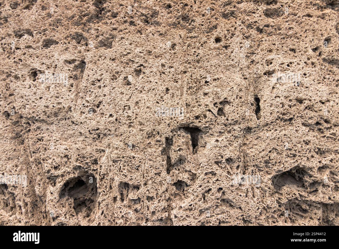 Una dettagliata superficie di roccia naturale che mostra complessi motivi erosivi, formando una struttura porosa, suggestiva di origini marine. Foto Stock