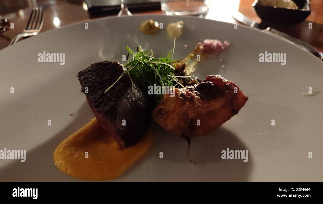 Foto ravvicinata di un pasto delizioso e salutare su un piatto. Un piatto allettante con verdure colorate e carne perfettamente cotta. Bilanciato e nutrizionale Foto Stock