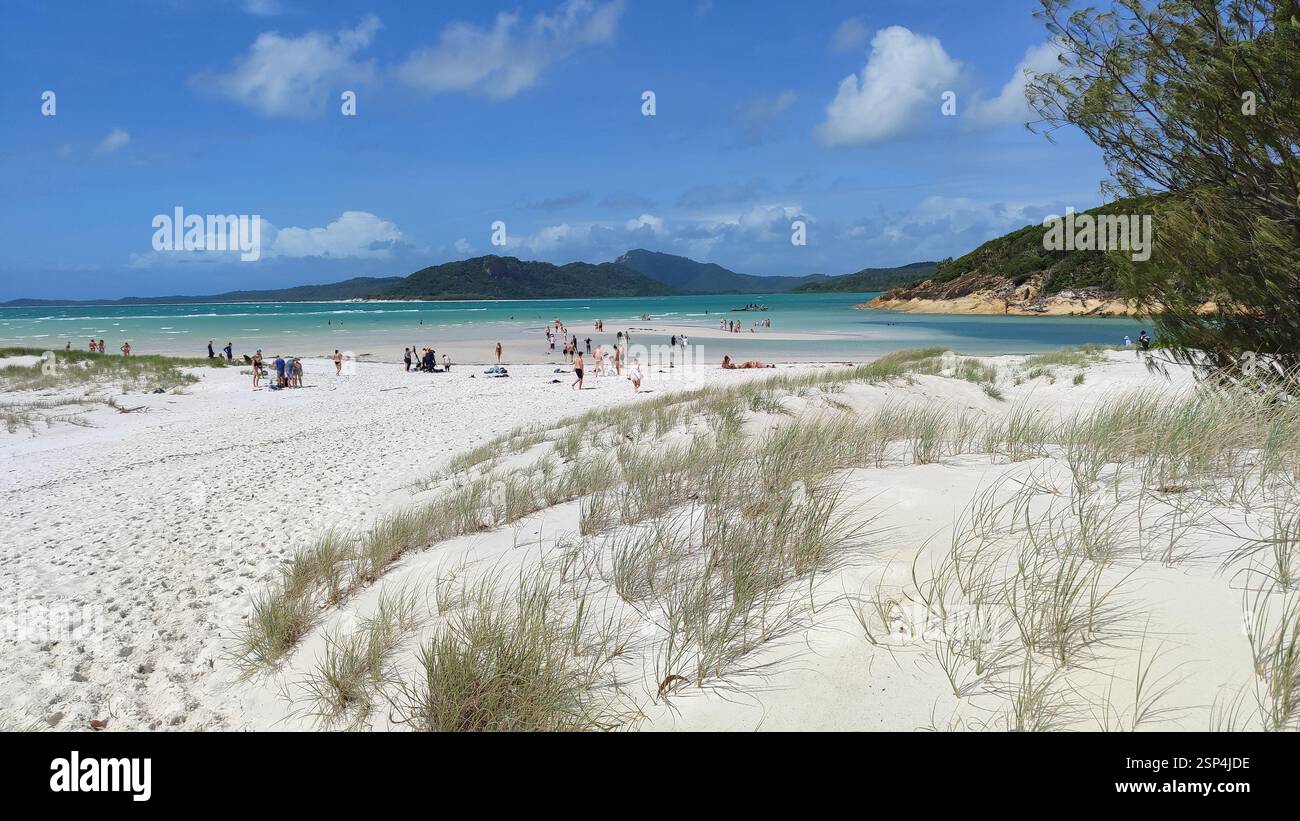 Whitsunday Islands National Park, Hamilton Island. Sabbia bianca incontaminata, acque turchesi, vegetazione lussureggiante. Un paradiso per gli amanti della natura e dell'avventura Foto Stock