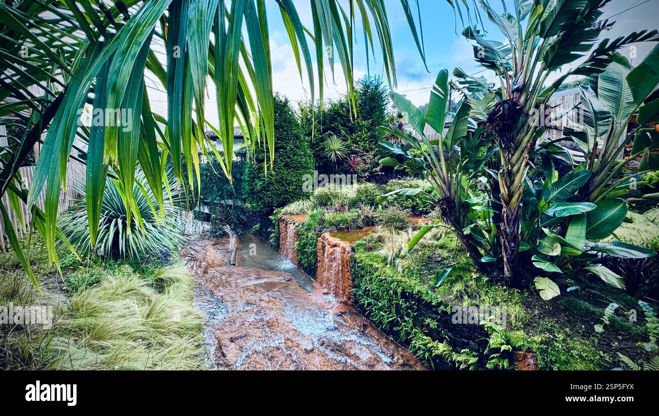 Il Pocha da Dona Beija è un popolare centro termale a Furnas, São Miguel, Azzorre, con piscine naturali riscaldate ricche di minerali circondate da lussureggianti Foto Stock