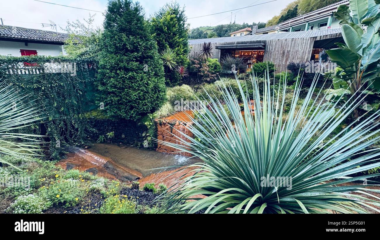 Il Pocha da Dona Beija è un popolare centro termale a Furnas, São Miguel, Azzorre, con piscine naturali riscaldate ricche di minerali circondate da lussureggianti Foto Stock
