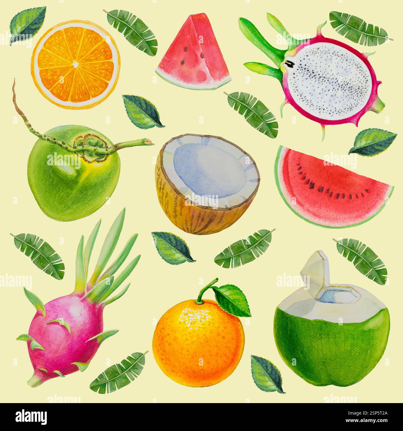 Collezione di frutta dipinta ad acquerello. Elementi di design per alimenti freschi disegnati a mano isolati su un morbido sfondo giallo. Illustrazione di disegno con motivo Foto Stock