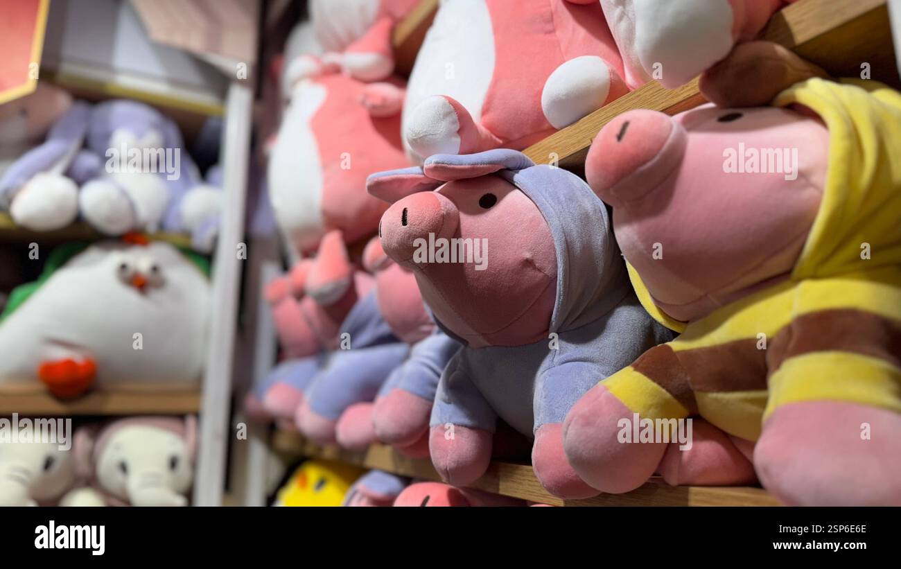 Primo piano di giocattoli colorati e morbidi allineati ordinatamente su un espositore in un negozio di giocattoli, che mostra una varietà di animali imbottiti e bambole di peluche in vendita. Foto Stock