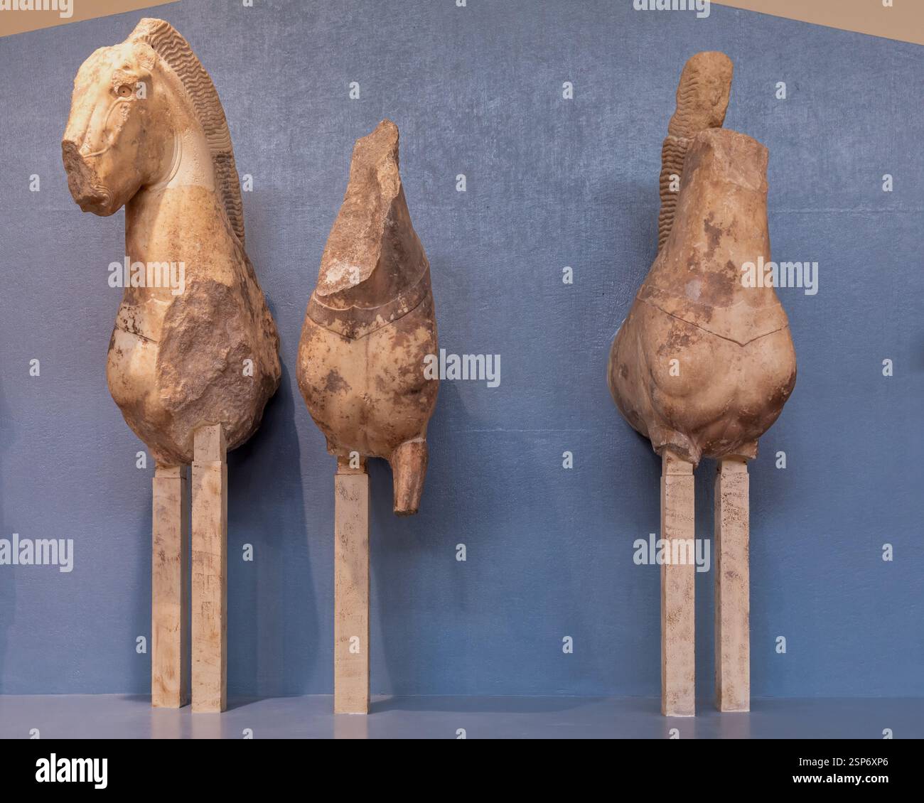 Sculture di cavalli, frontone orientale del tempio arcaico di Apollo, Museo Archeologico di Delfi, Delfi, Grecia Foto Stock