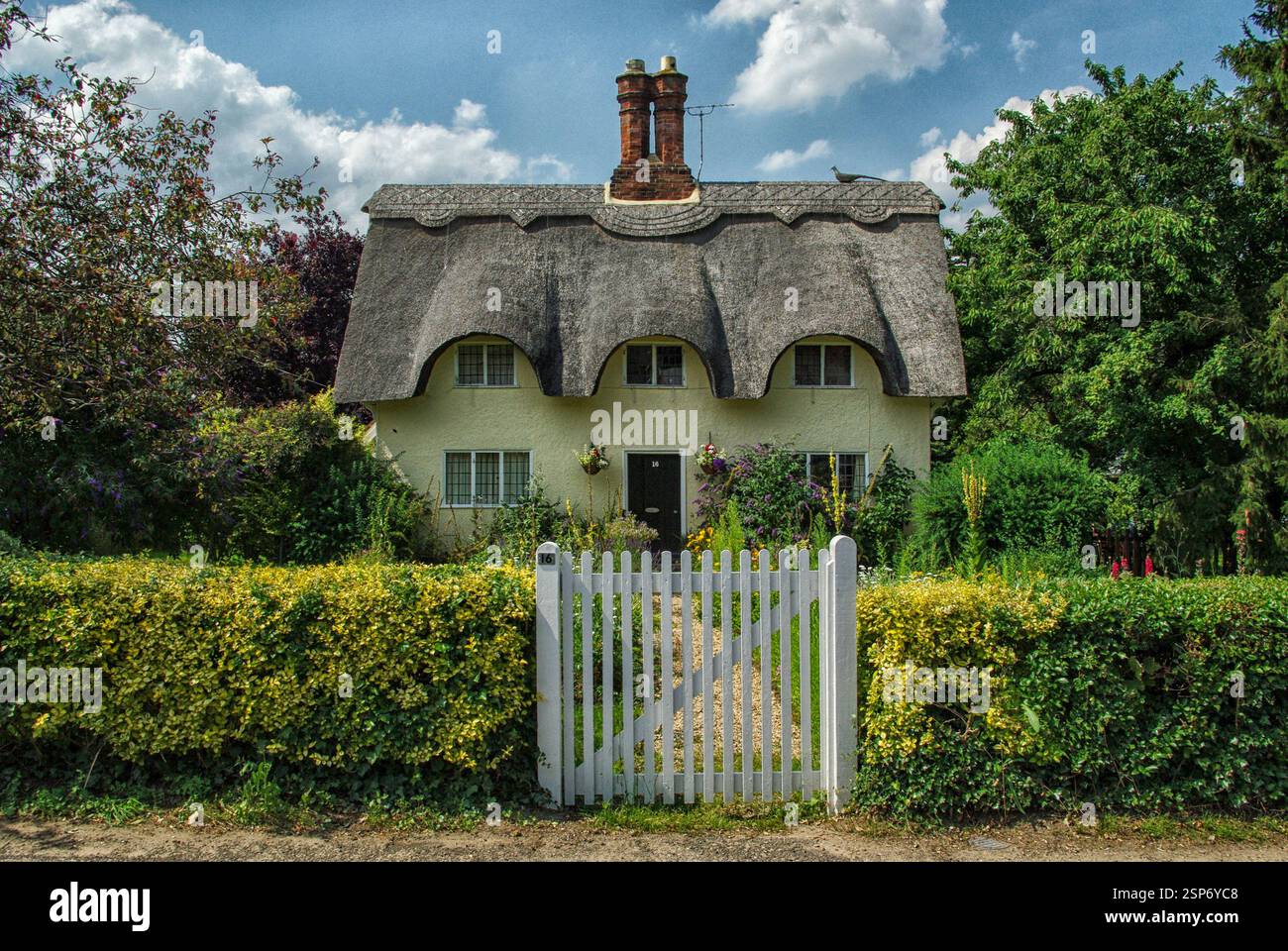 Pittoresco cottage con tetto di paglia nel villaggio di Old Warden, Bedfordshire, Regno Unito Foto Stock