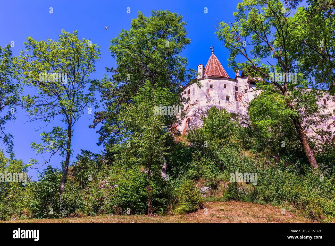 Castello di Bran, Transilvania, Romania Foto Stock