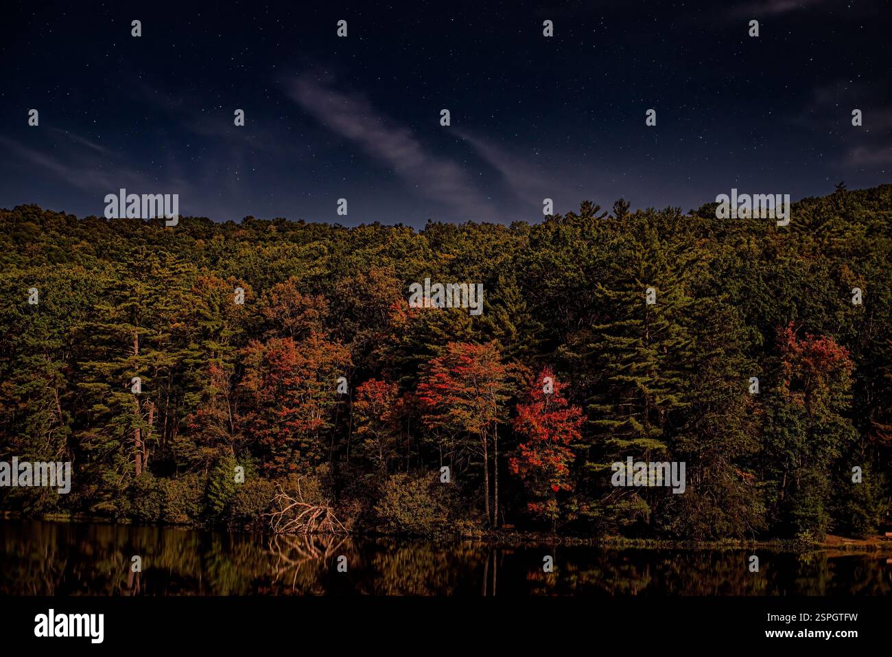 Una serena notte d'autunno al Watoga State Park, West Virginia, con colorate foglie autunnali sotto un cielo stellato che si riflette sul lago calmo. Foto Stock