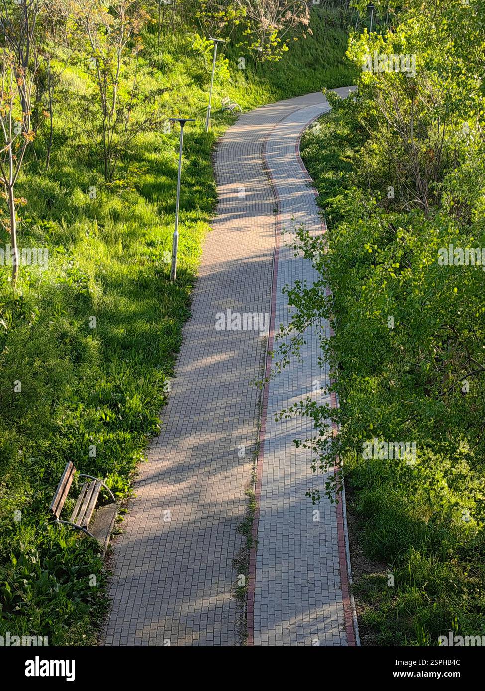 Percorso curvo - Una cornice naturale nel parco cittadino Foto Stock