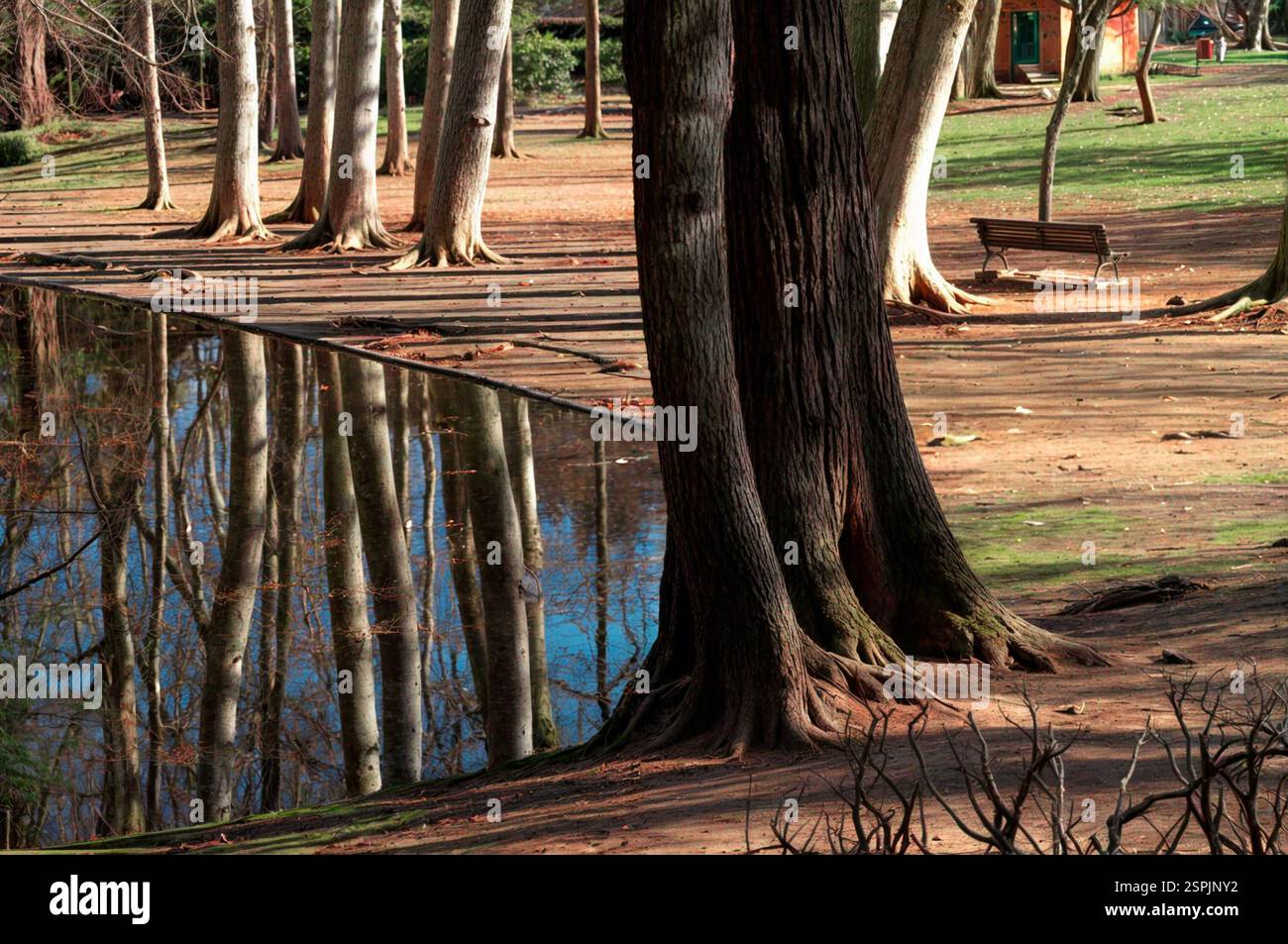 Laghetto nel parco pubblico Parc Nou, a Olot, Girona Foto Stock