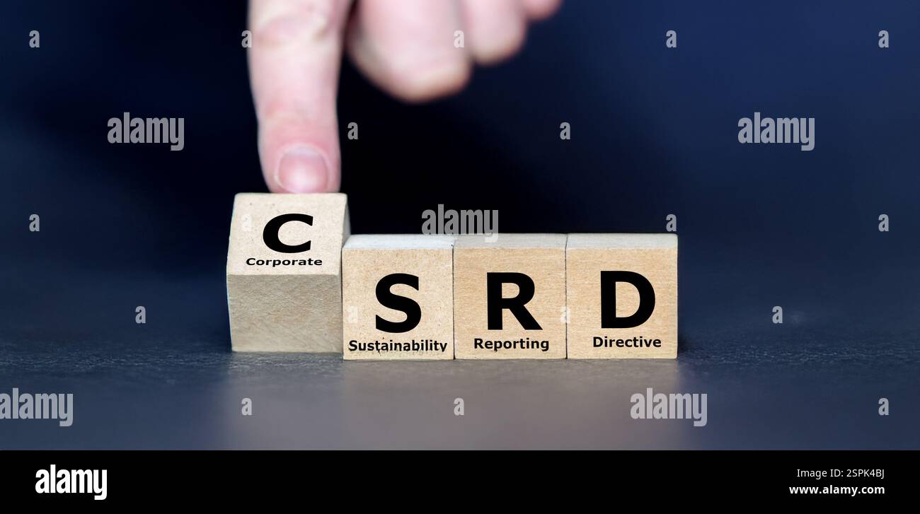 I cubi formano l'abbreviazione CSRD (Corporate Sustainability Reporting Directive) Foto Stock
