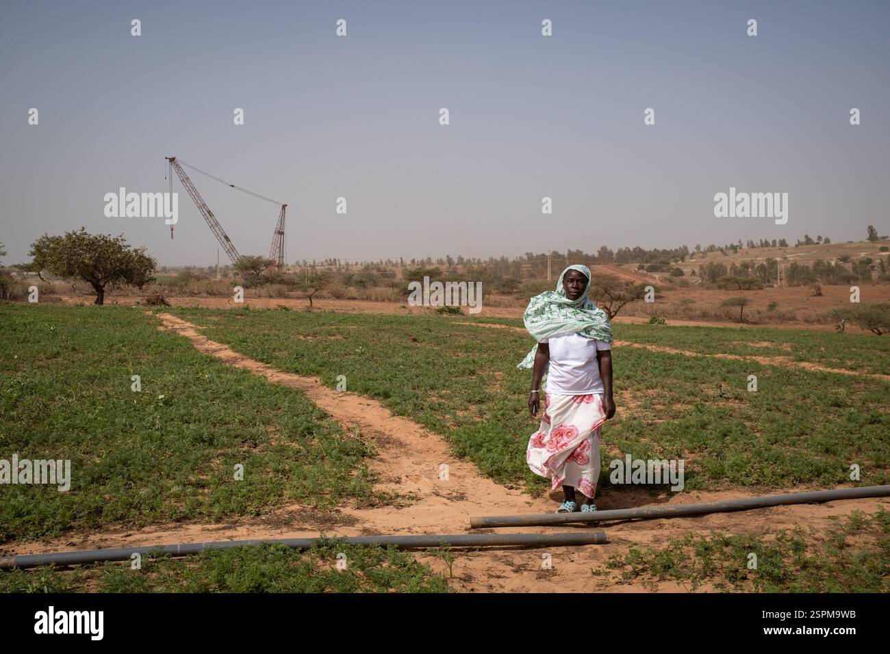 Mainouna Badian posa in un campo a Diogo, situato tra Dakar e Saint-Louis, nella regione di Thies in Senegal, il 20 dicembre 2024. È qui, proprio alle sue spalle, che l'esplorazione iniziò nel 2006 e poi nel 2014 lo sfruttamento di una delle più grandi miniere di zircone e ilmenite del mondo da parte della società senegalese grande Cote Operation SA (GCO*). Maimouna possedeva un campo a conduzione familiare dove praticava giardinaggio su 6-10 ettari e che doveva vendere per la modesta somma di 3,5 milioni di franchi CFA. (Circa 5350 euro) in una zona in cui di solito l'ettaro viene negoziato tra il 1,5 e. Foto Stock