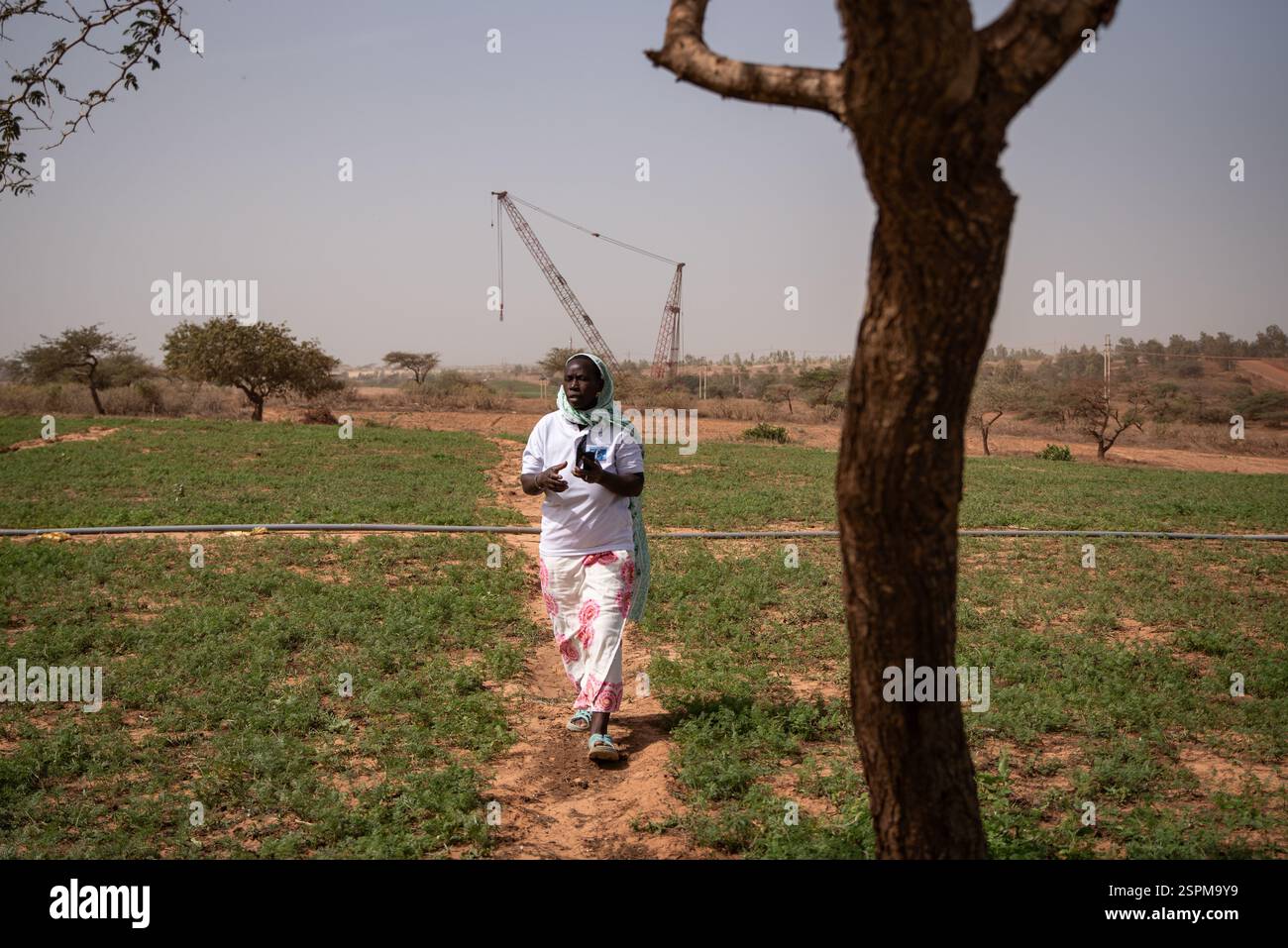Mainouna Badian posa in un campo a Diogo, situato tra Dakar e Saint-Louis, nella regione di Thies in Senegal, il 20 dicembre 2024. È qui, proprio alle sue spalle, che l'esplorazione iniziò nel 2006 e poi nel 2014 lo sfruttamento di una delle più grandi miniere di zircone e ilmenite del mondo da parte della società senegalese grande Cote Operation SA (GCO*). Maimouna possedeva un campo a conduzione familiare dove praticava giardinaggio su 6-10 ettari e che doveva vendere per la modesta somma di 3,5 milioni di franchi CFA. (Circa 5350 euro) in una zona in cui di solito l'ettaro viene negoziato tra il 1,5 e. Foto Stock