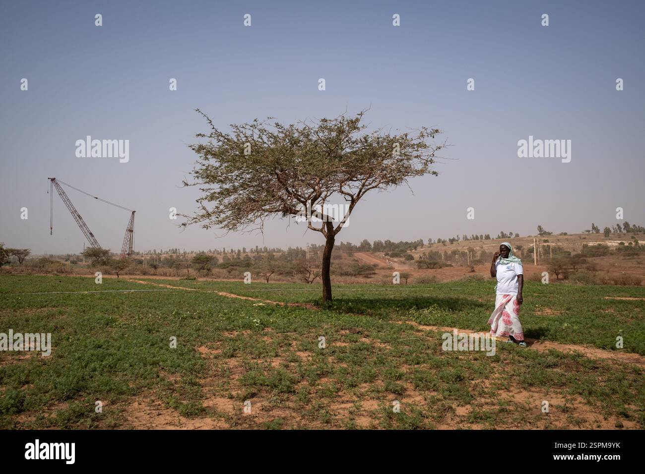 Mainouna Badian posa in un campo a Diogo, situato tra Dakar e Saint-Louis, nella regione di Thies in Senegal, il 20 dicembre 2024. È qui, proprio alle sue spalle, che l'esplorazione iniziò nel 2006 e poi nel 2014 lo sfruttamento di una delle più grandi miniere di zircone e ilmenite del mondo da parte della società senegalese grande Cote Operation SA (GCO*). Maimouna possedeva un campo a conduzione familiare dove praticava giardinaggio su 6-10 ettari e che doveva vendere per la modesta somma di 3,5 milioni di franchi CFA. (Circa 5350 euro) in una zona in cui di solito l'ettaro viene negoziato tra il 1,5 e. Foto Stock
