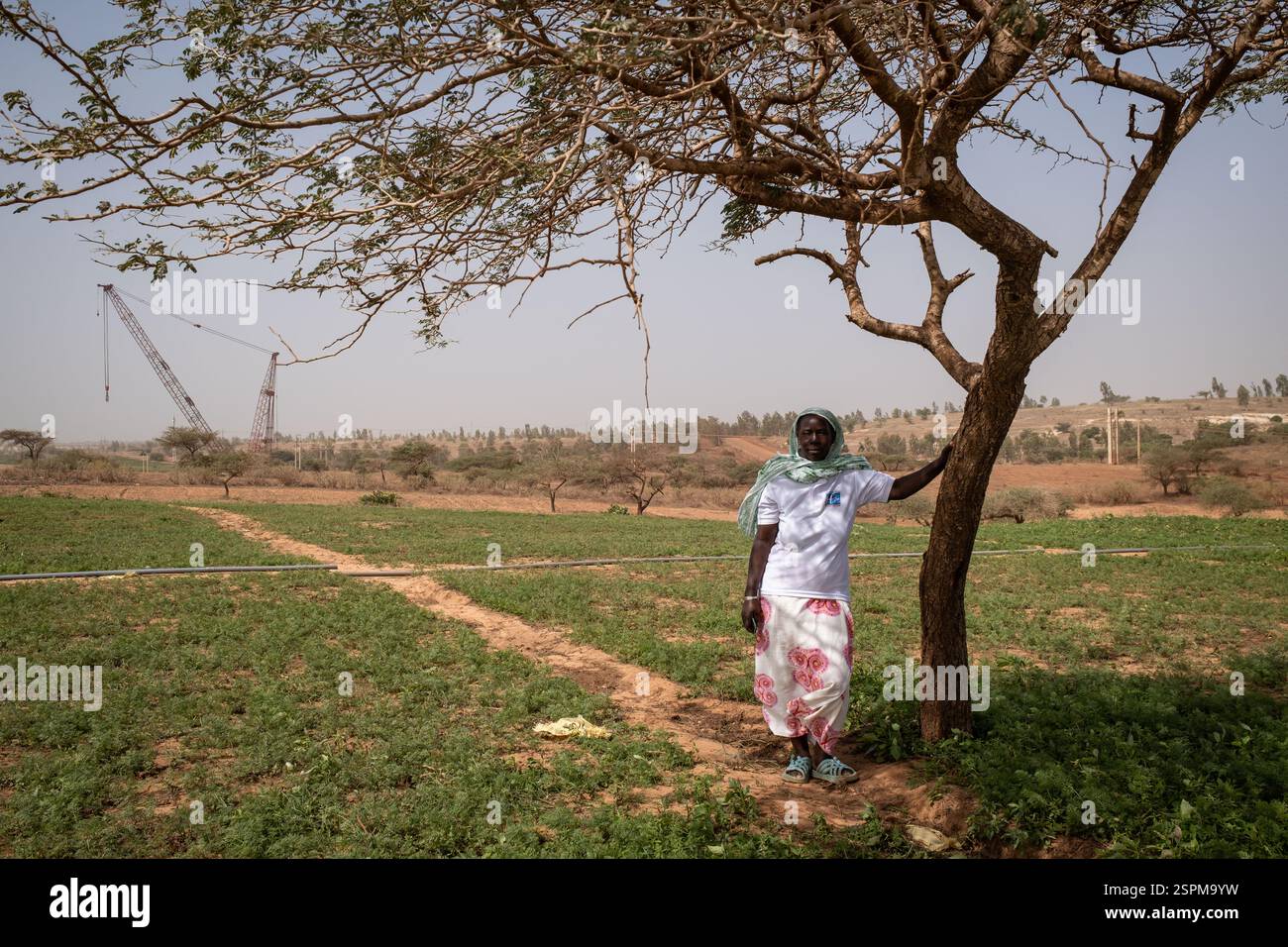 Mainouna Badian posa in un campo a Diogo, situato tra Dakar e Saint-Louis, nella regione di Thies in Senegal, il 20 dicembre 2024. È qui, proprio alle sue spalle, che l'esplorazione iniziò nel 2006 e poi nel 2014 lo sfruttamento di una delle più grandi miniere di zircone e ilmenite del mondo da parte della società senegalese grande Cote Operation SA (GCO*). Maimouna possedeva un campo a conduzione familiare dove praticava giardinaggio su 6-10 ettari e che doveva vendere per la modesta somma di 3,5 milioni di franchi CFA. (Circa 5350 euro) in una zona in cui di solito l'ettaro viene negoziato tra il 1,5 e. Foto Stock