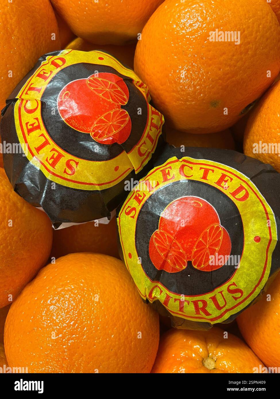 Arance, arancia, agrumi, agrumi selezionati, frutta, magazzino, stoccaggio, agricoltura, approvvigionamento alimentare, logistica, distribuzione, catena di approvvigionamento - Immagine stock catturata con smartphone