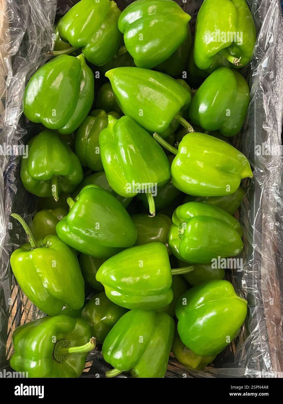 peperoni, peperoni, peperoni verdi, frutta, verdura, magazzino, agricoltura, approvvigionamento alimentare, stoccaggio di ortaggi, distribuzione, Capsicum annuum - Immagine stock catturata con smartphone