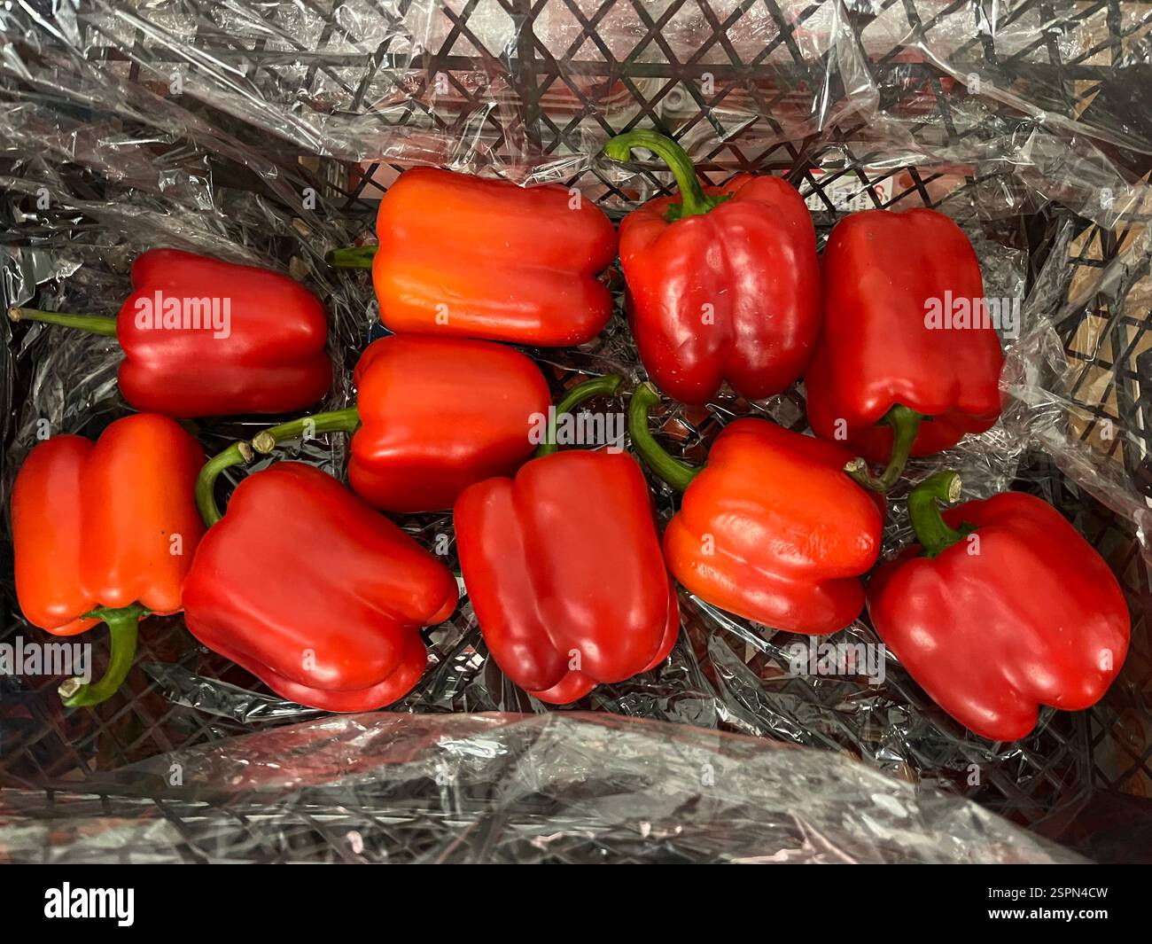 peperoni rossi, peperoni, peperoni rossi, verdure, magazzino, stoccaggio, cassa, agricoltura, approvvigionamento alimentare, distribuzione, frutta, Capsicum annuum - Immagine stock catturata con smartphone