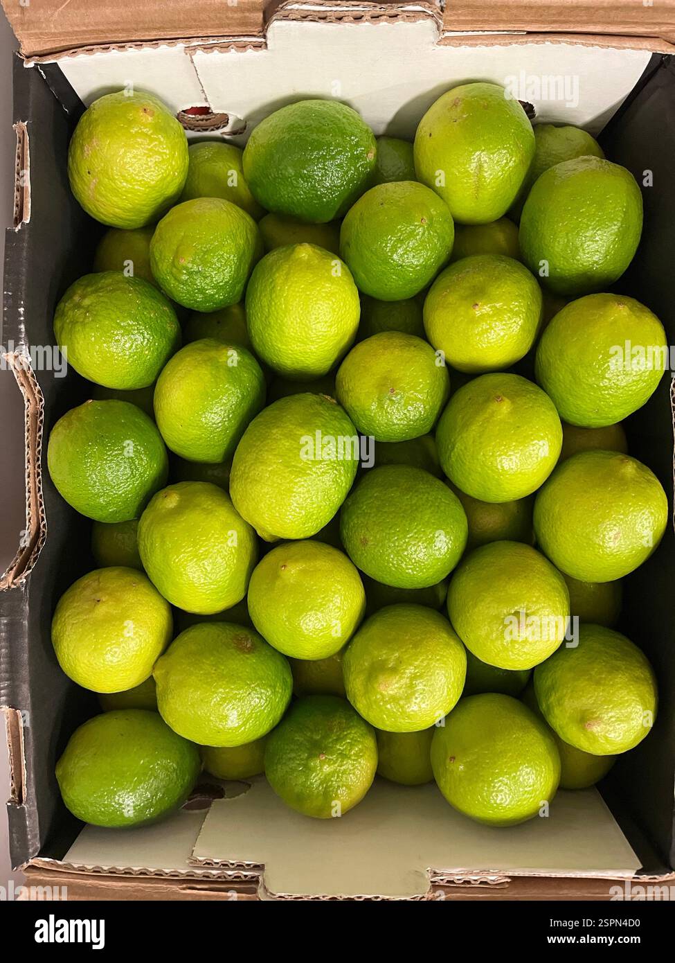 lime, limes, agrumi, cassa, magazzino, stoccaggio, agricoltura, approvvigionamento alimentare, logistica, distribuzione, catena di approvvigionamento, agricoltura - Immagine stock catturata con smartphone