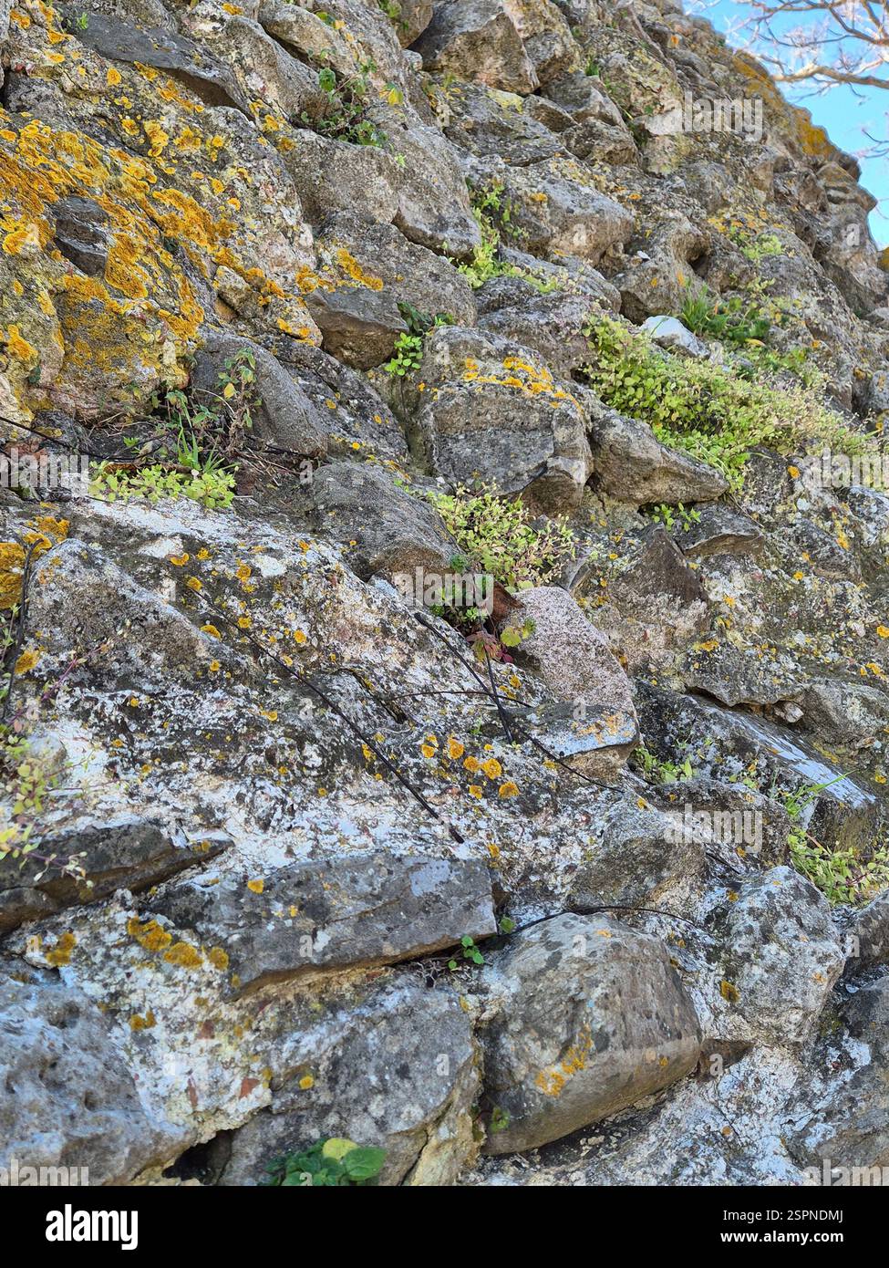 Un muro di pietra potente. parete in pietra ricoperta di muschio - Immagine stock catturata con smartphone