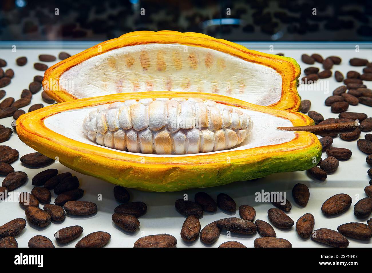 Tagliare metà della frutta di cacao con polpa bianca all'interno sullo sfondo dei fagioli di cacao. Fagioli di cacao nella vetrina della cioccolateria. Foto Stock