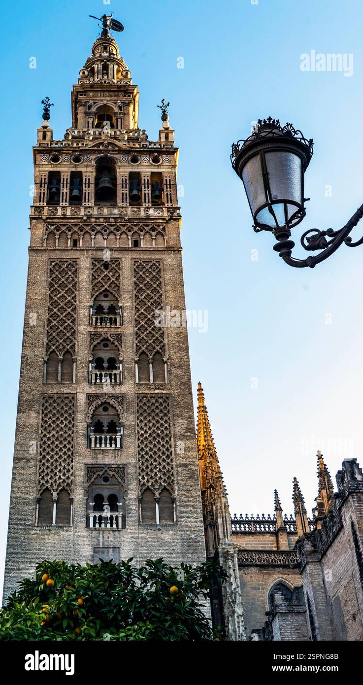 Un alto e ornato campanile con intricati dettagli architettonici, circondato da un cielo azzurro. Una lampada da strada vintage è visibile in primo piano, ad Foto Stock