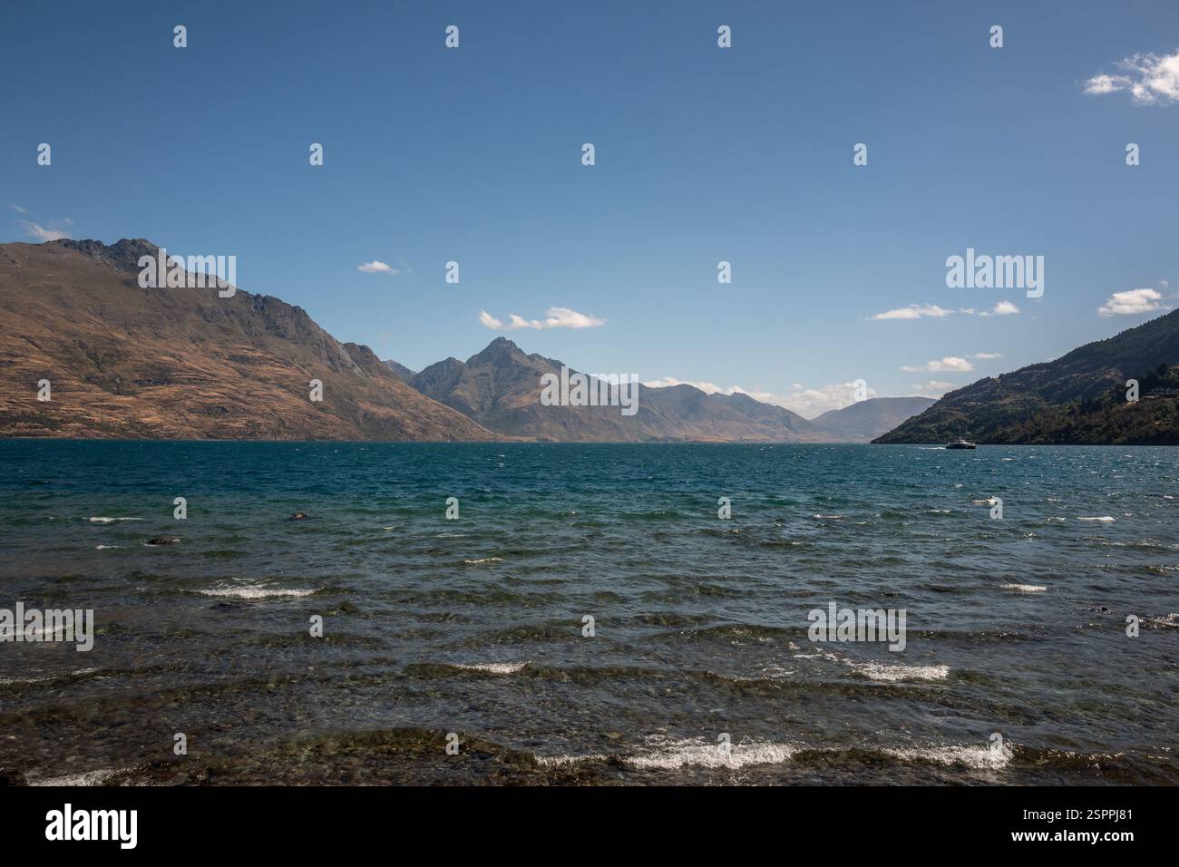 Queenstown, 29 gennaio 2025: Lago Wakatipu Foto Stock