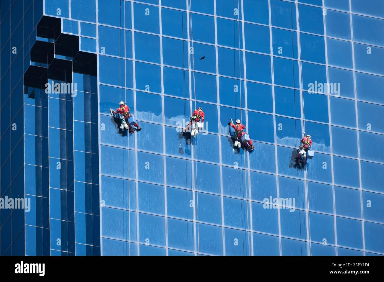 Abu Dhabi, Emirati Arabi Uniti, addetti alla pulizia delle finestre nell'edificio Abu Dhabi Baynunah Foto Stock