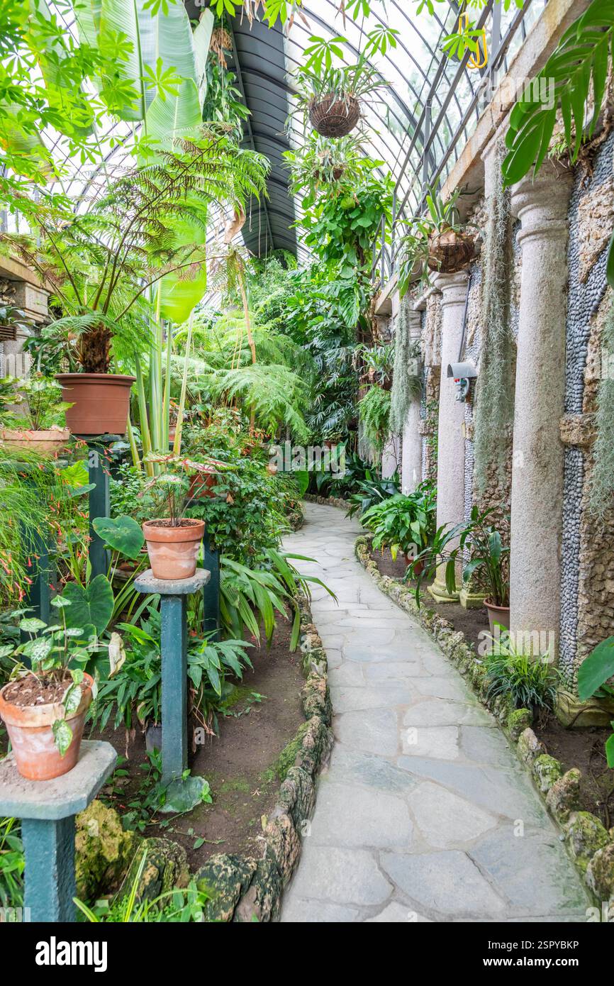 Interno della serra con coltivazione di piante e fiori. Giardinaggio verde, nessuno Foto Stock