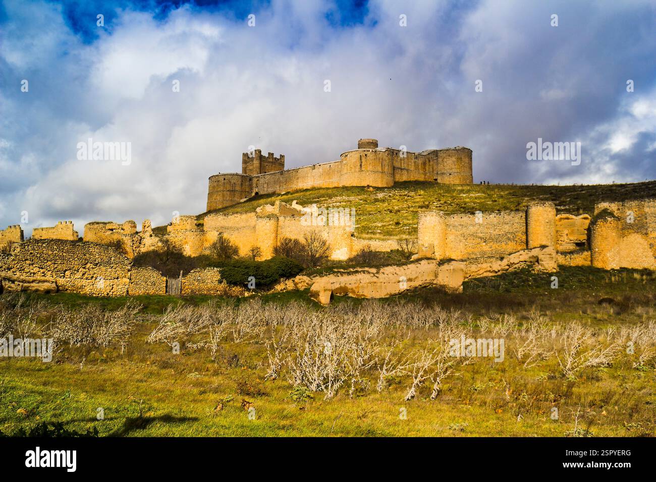 Berlanga de duero, castello, Castilla, Spagna Foto Stock