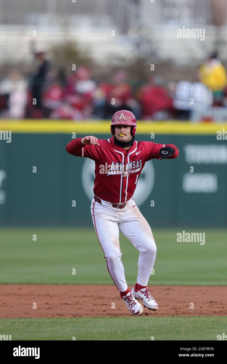 14 febbraio 2025: Rocco Peppi (1), base runner dell'Arkansas, lavora per estendere il suo vantaggio dalla seconda base. L'Arkansas sconfisse lo stato di Washington 14-2 a Fayetteville, Arkansas. Richey Miller/CSM Foto Stock