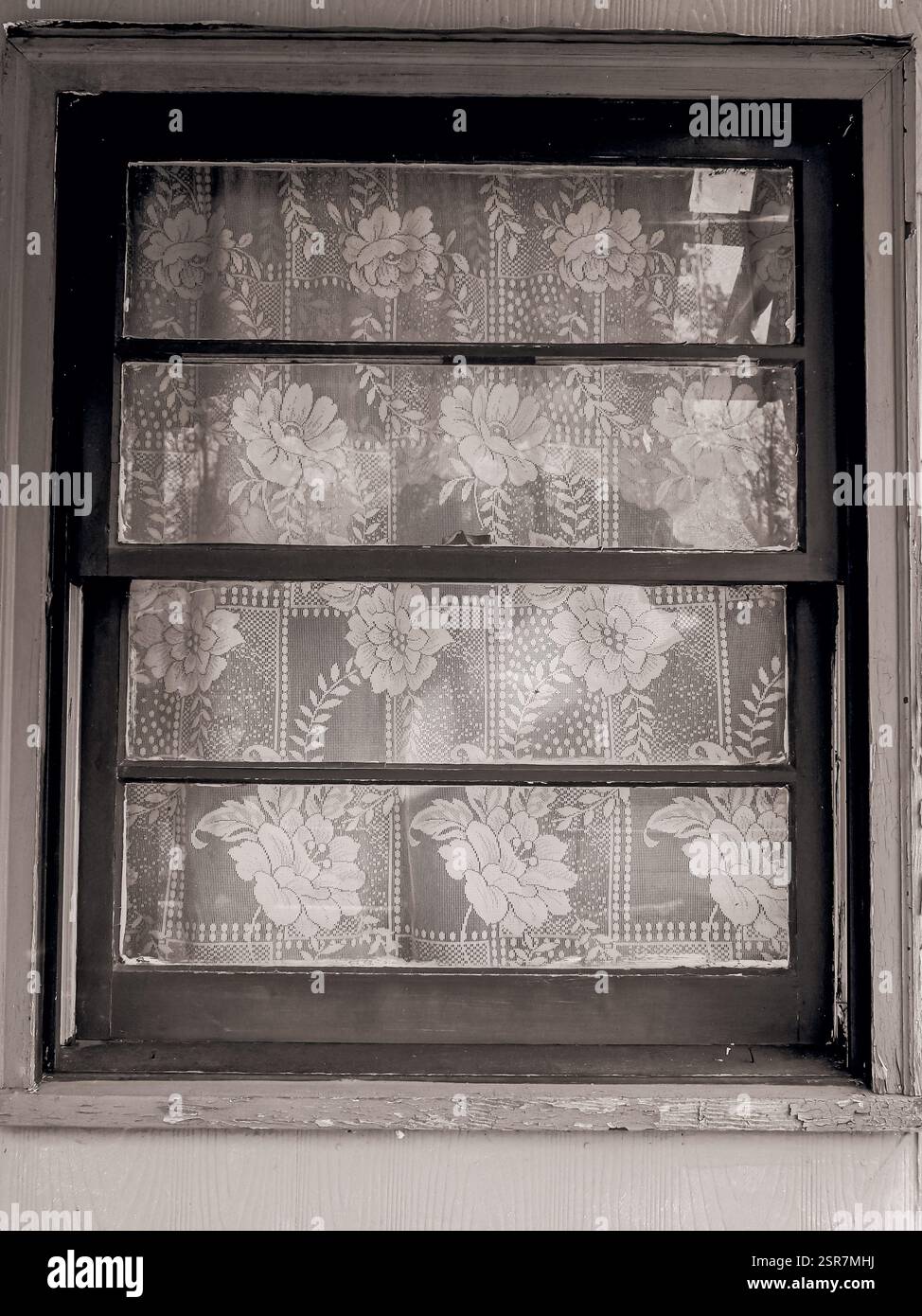 Tenda allacciata nella finestra di una casa abbandonata Foto Stock