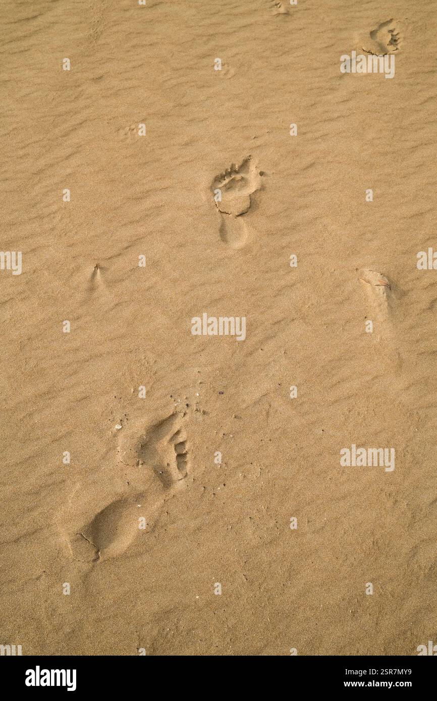 I piedi si muovono nella sabbia Foto Stock
