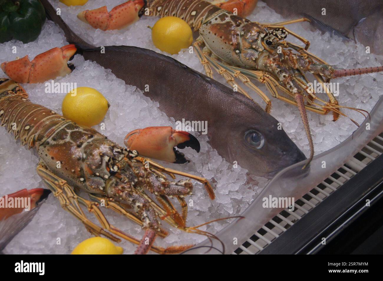 Pesce fresco proiettato sul ghiaccio, caratterizzato da aragoste vivaci, pesci assortiti ed elegante contorno al limone. Un'allettante anteprima dell'eccellenza culinaria awa Foto Stock