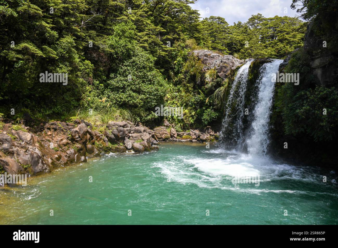 Vista alle cascate Tawhai (Gollum's Pool) sul parco nazionale Tongariro in nuova Zelanda Foto Stock