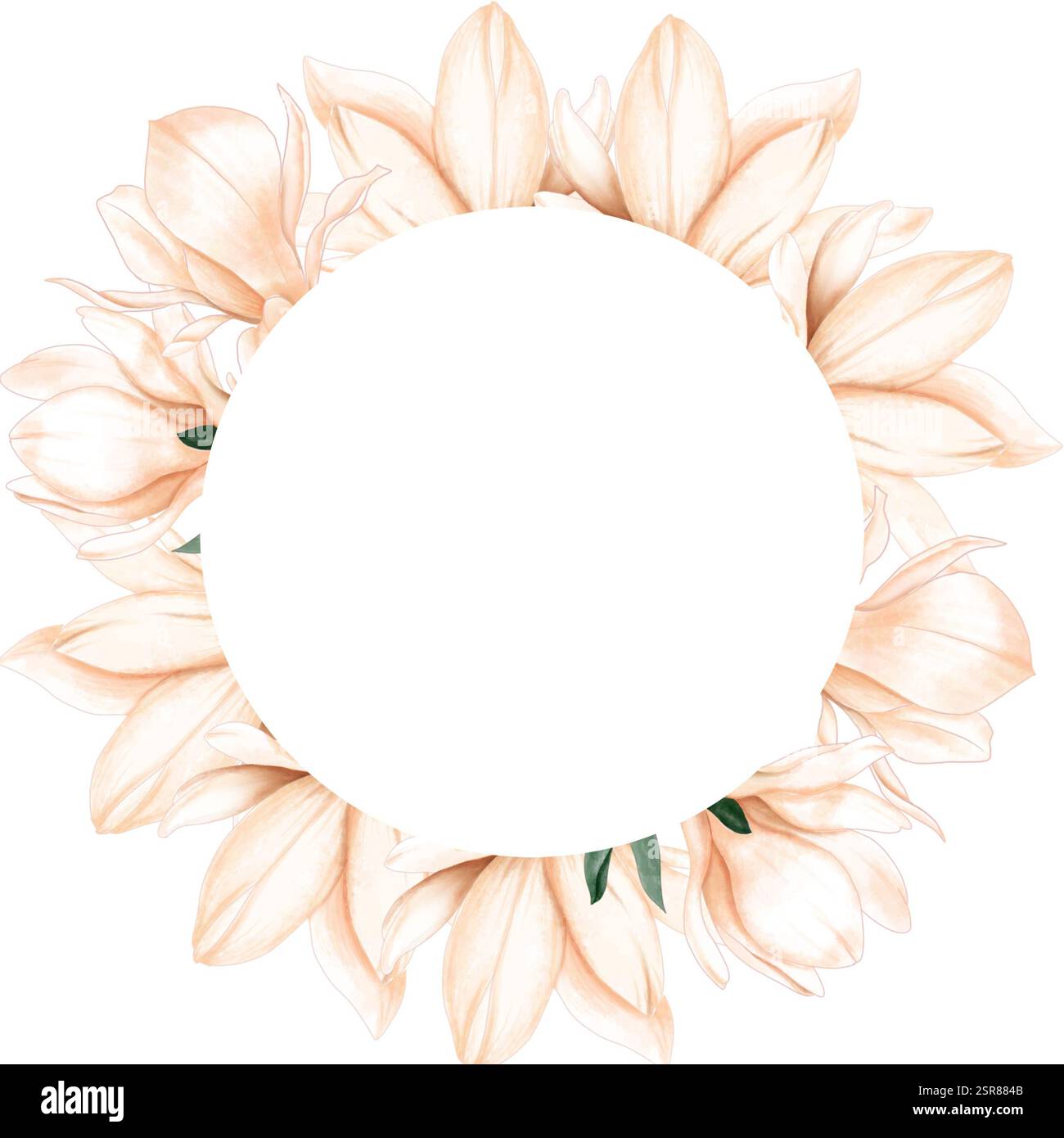 Fiori di magnolia con cornice rotonda ad acquerello. Corona floreale con fiori eleganti su sfondo bianco isolato. Foto Stock