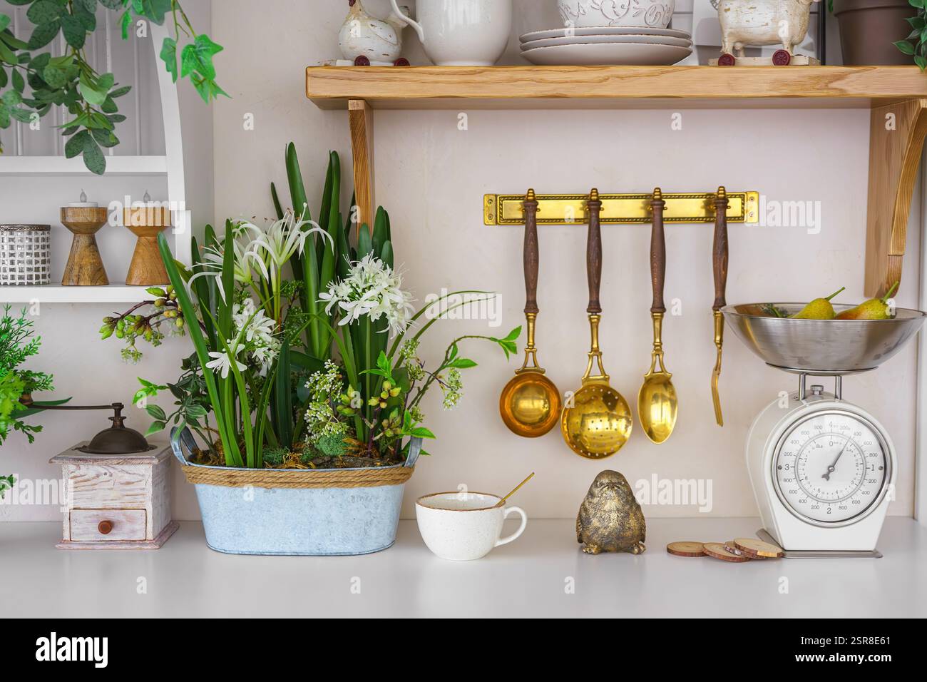 Elegante angolo cucina con piante, utensili e bilance vintage per un'atmosfera accogliente di primavera. Piante decorative verdi, decorazioni per la casa per il santo pasquale Foto Stock