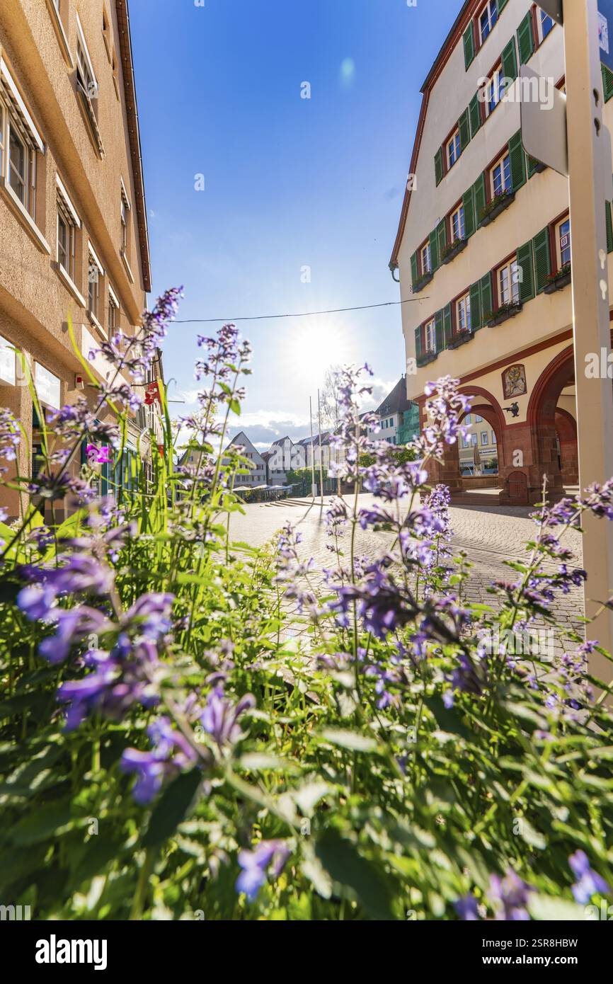 Vista di una strada storica con fiori in fiore in primo piano in una giornata di sole, Weil der Stadt, quartiere di Boeblingen, Germania, Europa Foto Stock