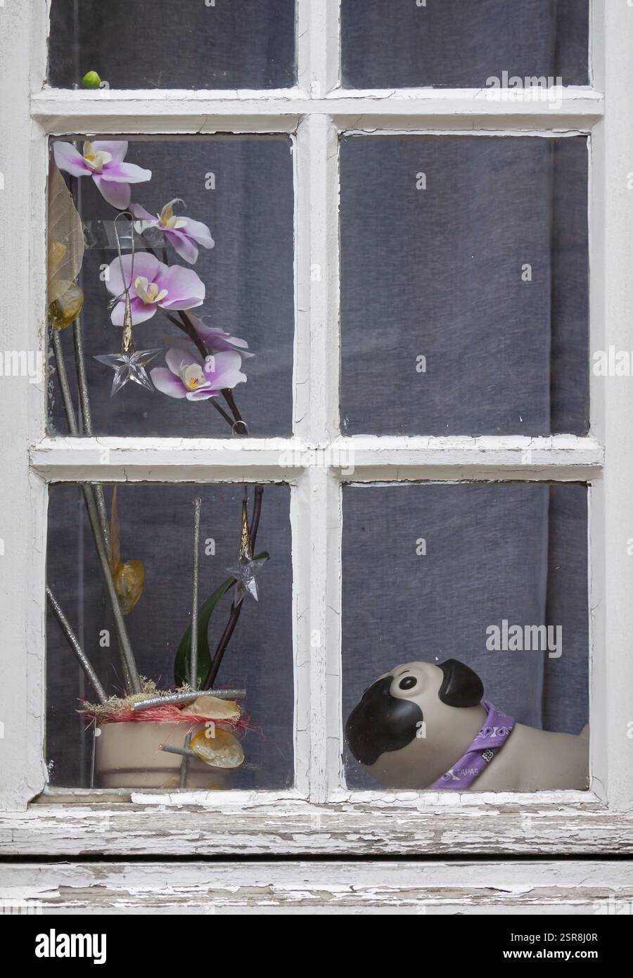 Un cane in ceramica e delle orchidee si trovano sul davanzale dietro una vecchia bifora, la Bretagna, la Francia, l'Europa Foto Stock