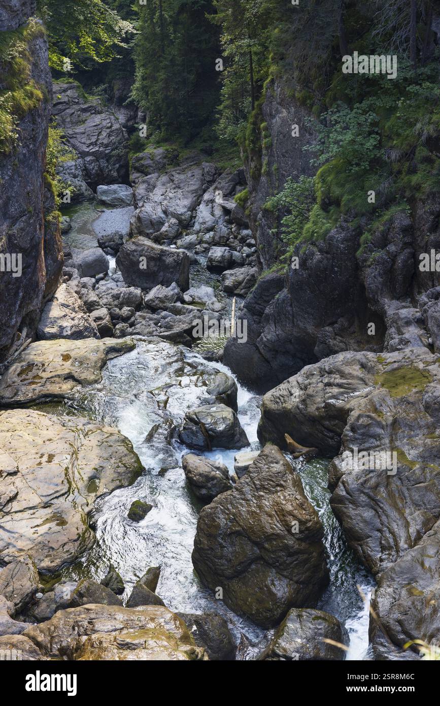 Aubachfall vicino a Voglau, Lammertal, Osterhorngruppe, Salzkammergut, provincia di Salisburgo, Austria, Europa Foto Stock