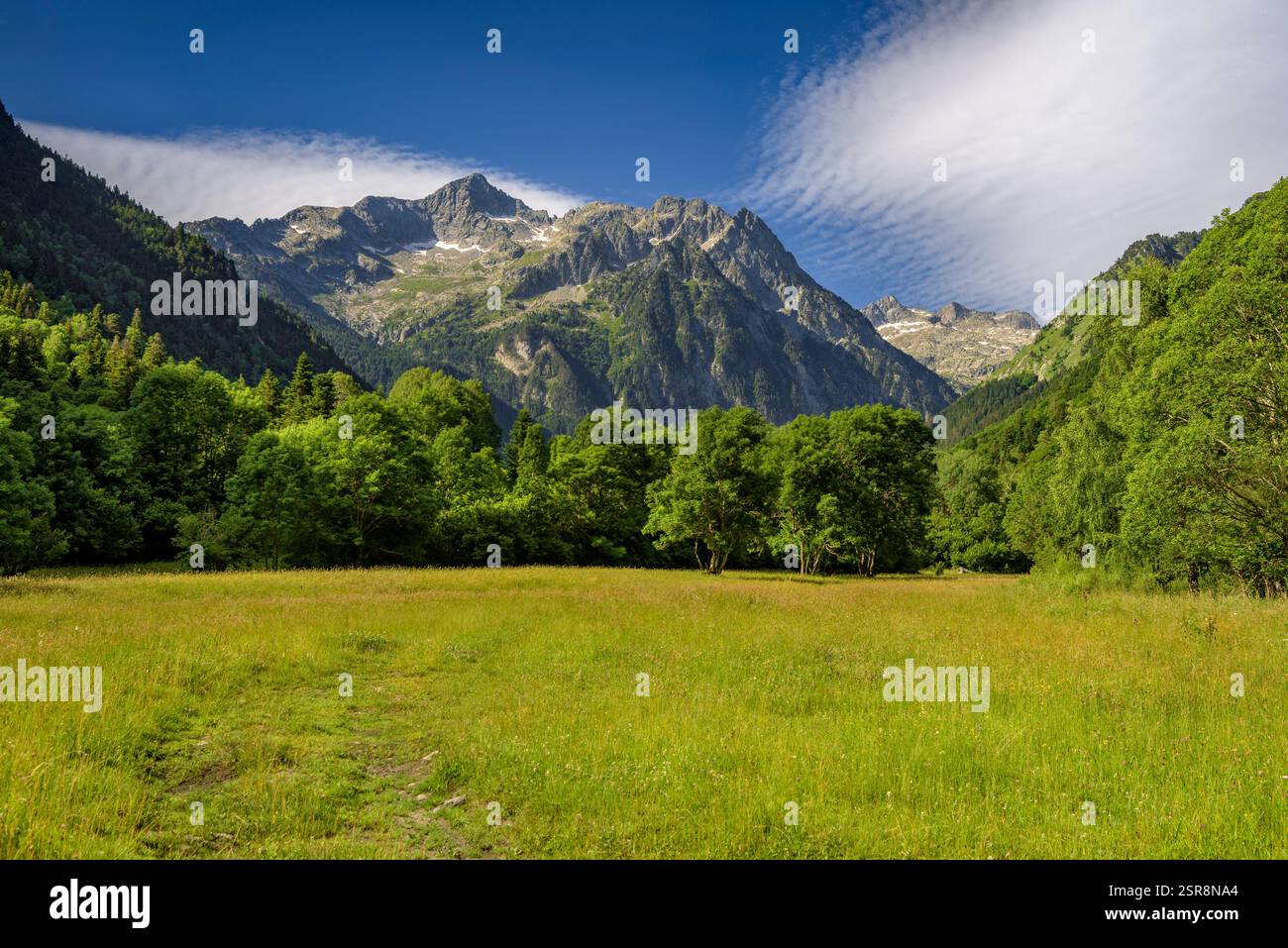 Monte Montarto (o Montardo) visto dalla valle di Valarties in estate (valle di Aran, Lleida, Catalogna, Spagna, Pirenei) ESP: Montardo Valle de Arán Foto Stock
