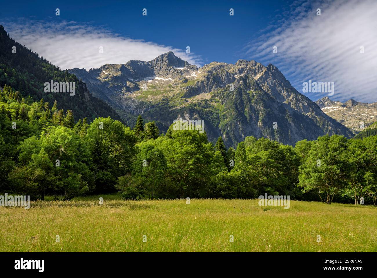 Monte Montarto (o Montardo) visto dalla valle di Valarties in estate (valle di Aran, Lleida, Catalogna, Spagna, Pirenei) ESP: Montardo Valle de Arán Foto Stock