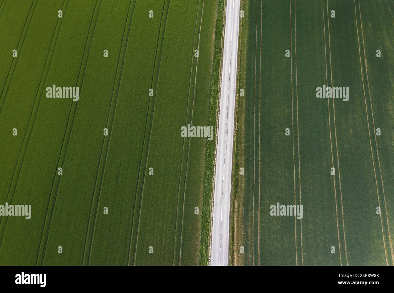 Veduta aerea di una strada di campagna che attraversa campi agricoli, paesaggio agricolo, Innviertel, alta Austria, Austria, Europa Foto Stock