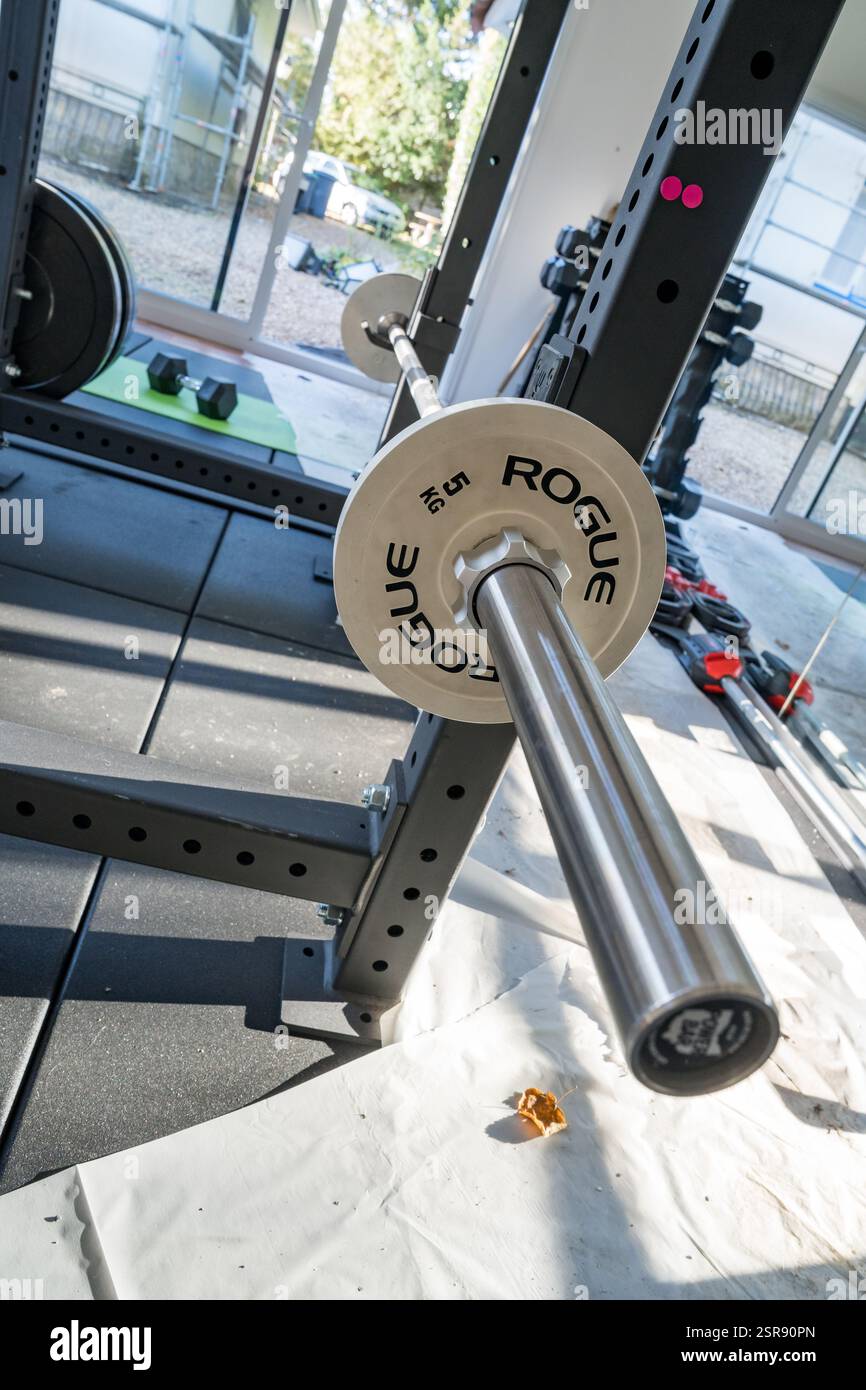 Attrezzature per l'allenamento muscolare pronte per un allenamento in palestra Foto Stock