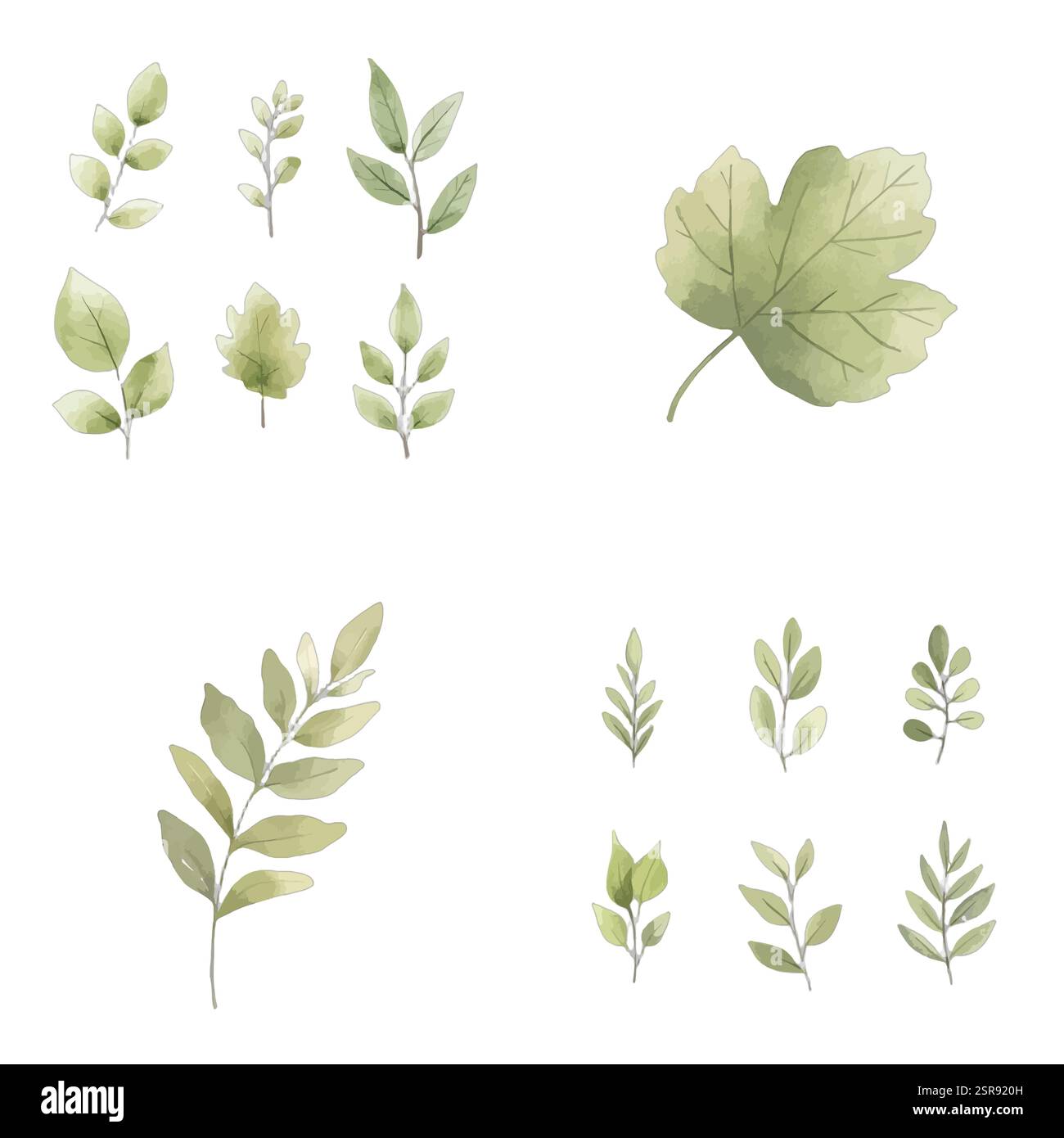 80 adesivi con foglie verdi ad acquerello, decorazioni per etichette rotonde, decorazioni per matrimoni, baby shower, feste di compleanno, decorazioni con foglie verdi, 4 adesivi di design