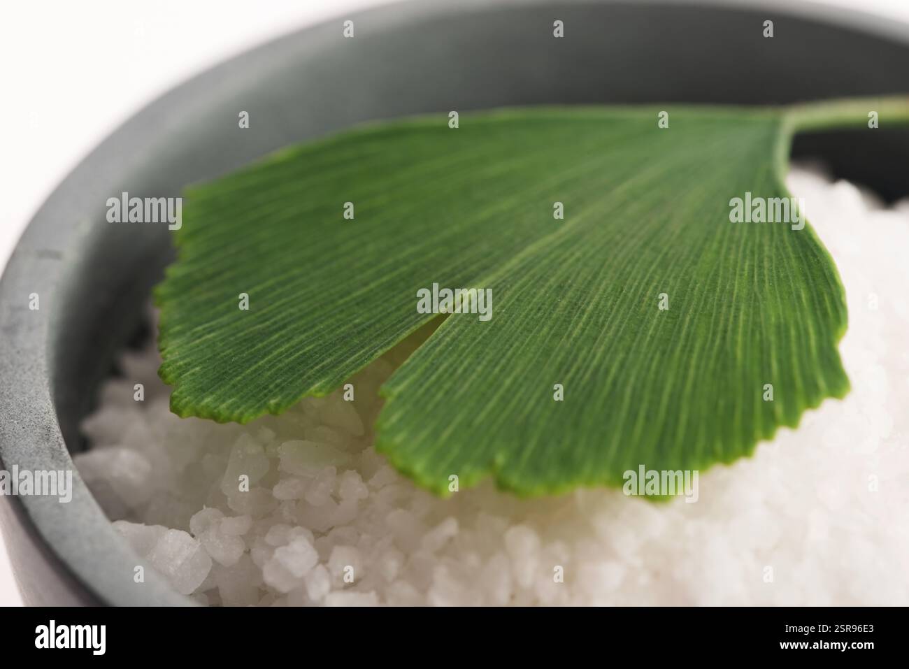 Foglia di Ginkgo biloba e sale da bagno Foto Stock