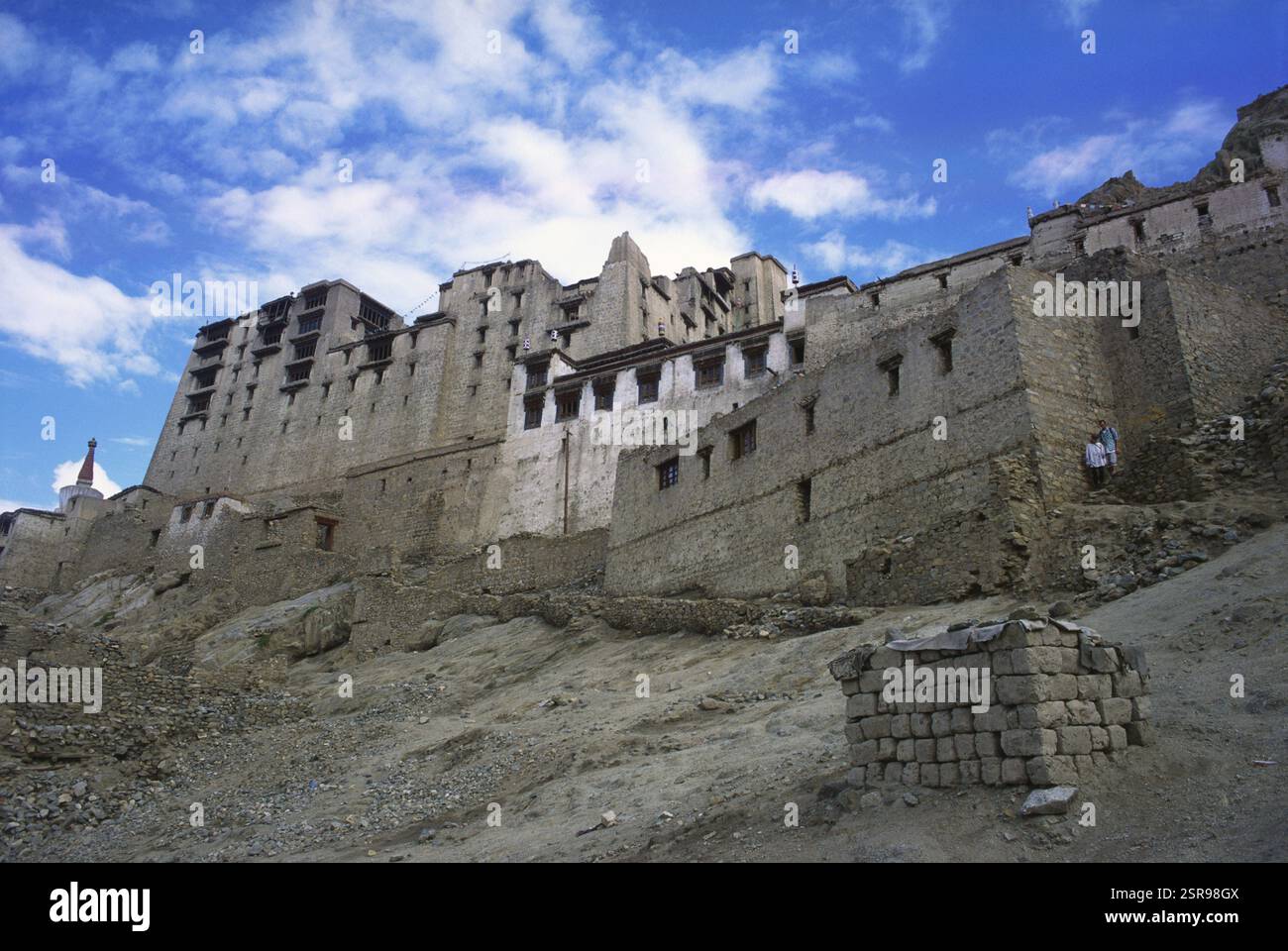 Leh Palace struttura a 9 piani che si affaccia su Leh Tauon, Ladakh, Jammu e Kashmir, India, Asia Foto Stock