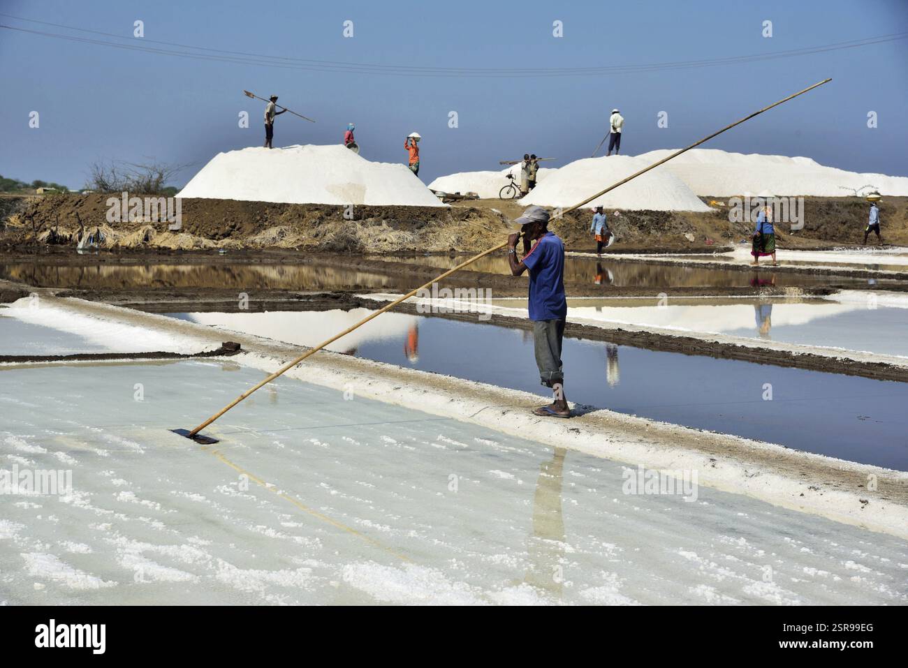 Le persone che lavorano presso le saline, Chharwada, Valsad, Gujarat, India, Asia Foto Stock