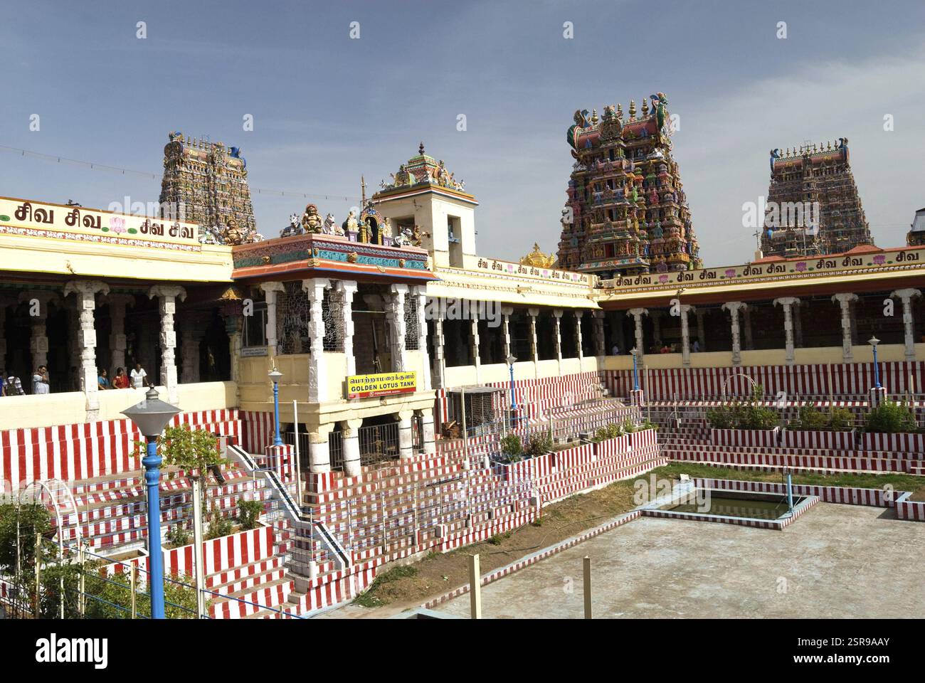 Tempio Meenakshi e serbatoio di loto dorato a Madurai, Tamil Nadu, India, Asia Foto Stock
